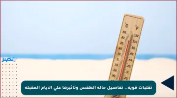 تقلبات قوية.. تفاصيل حالة الطقس وتأثيرها على الأيام المقبلة